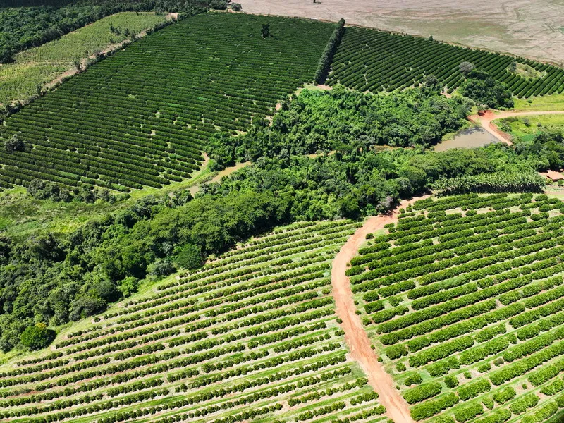 bevibene-fazenda-1